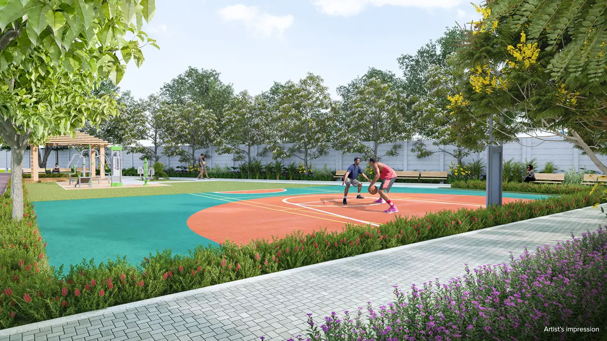Basketball Court Area